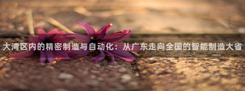 天辰娱乐电话：大湾区内的精密制造与自动化：从广东走向全国的智能制造大省