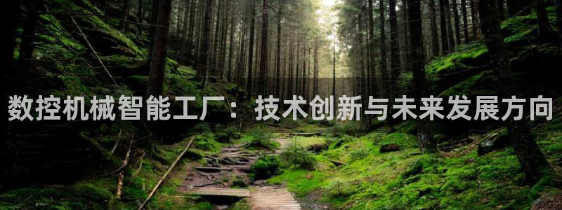 天辰娱乐平台app下载：数控机械智能工厂：技术创新与未来发展方向