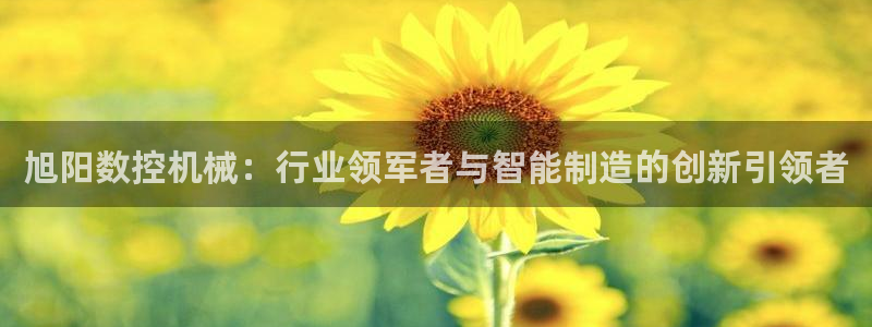 天辰娱乐1996