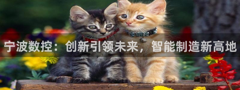 天辰娱乐10086
