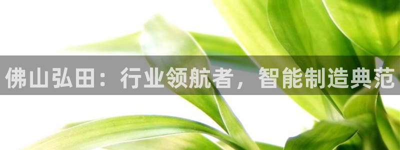 天辰娱乐登陆