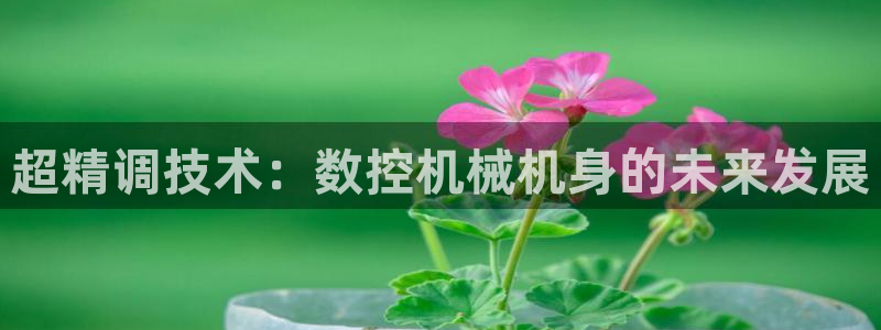 天辰娱乐棋牌