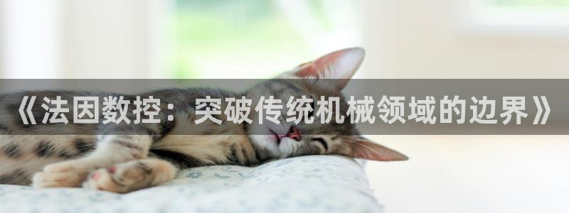 天辰线上娱乐