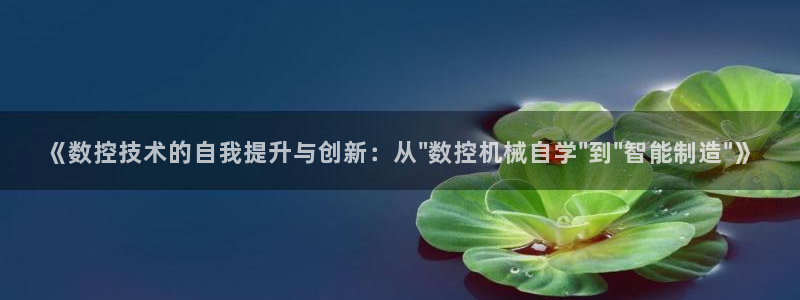 天辰娱乐 主管