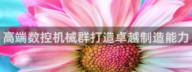 天辰娱乐内部