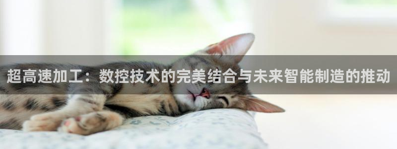 天辰娱乐老板