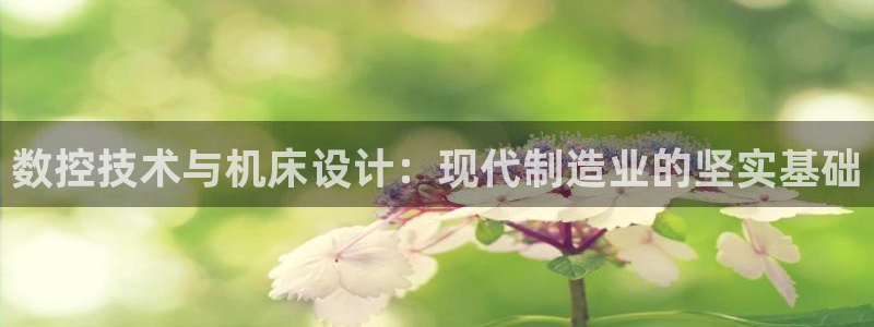 天辰说娱乐