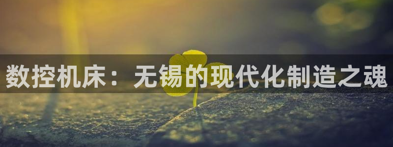 天辰娱乐44516