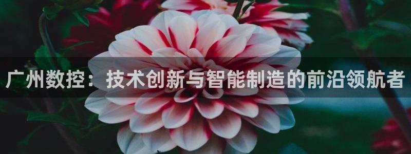 天辰娱乐娱乐平台