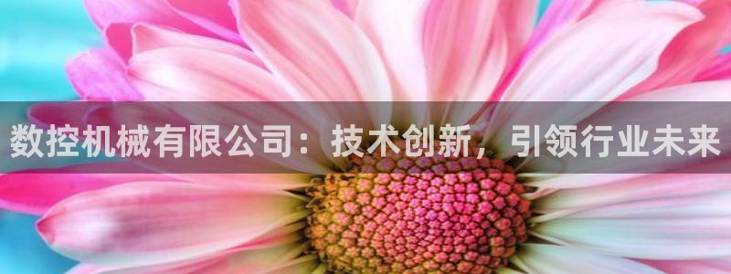 天辰国际娱乐