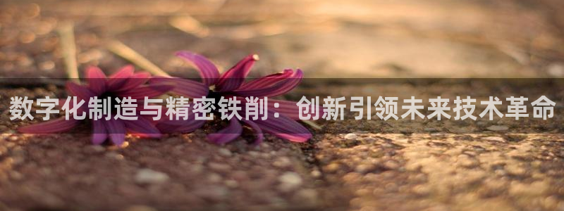 天辰辰娱乐代理