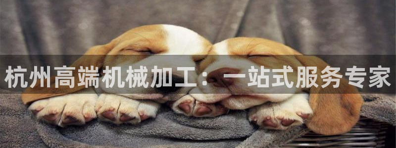天辰娱乐新