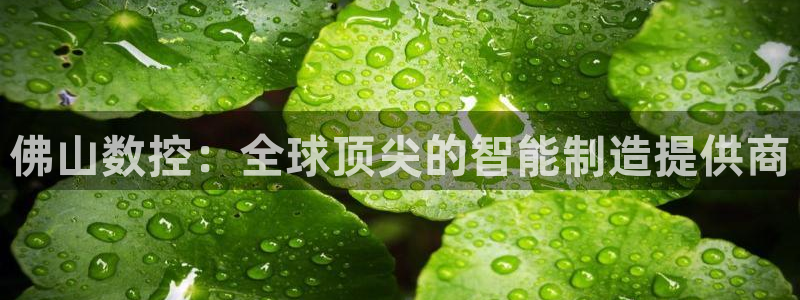 天辰娱乐反水