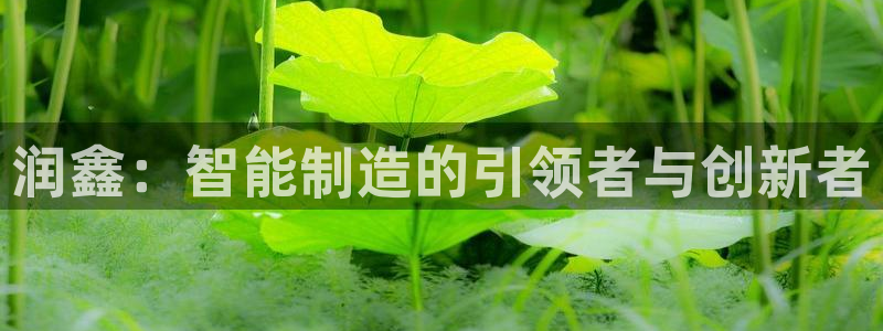天辰娱乐平台app下载
