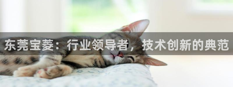 天辰娱乐APP下载