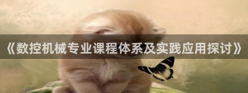 天辰娱乐61116