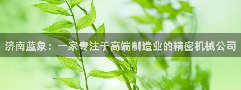 天辰娱乐平台app下载
