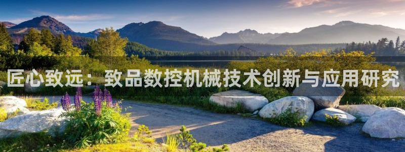 天辰娱乐白屏