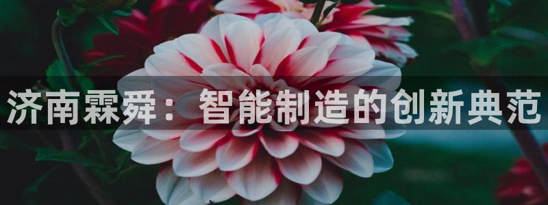 天辰娱乐平台地址在哪里
