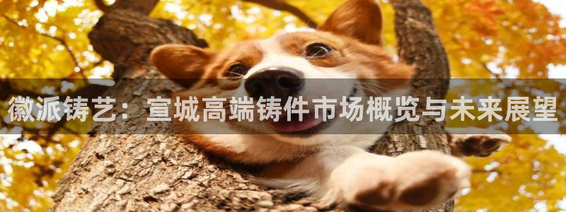 天辰娱乐小姐