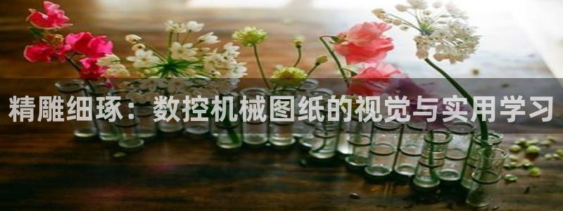 天辰宝娱乐