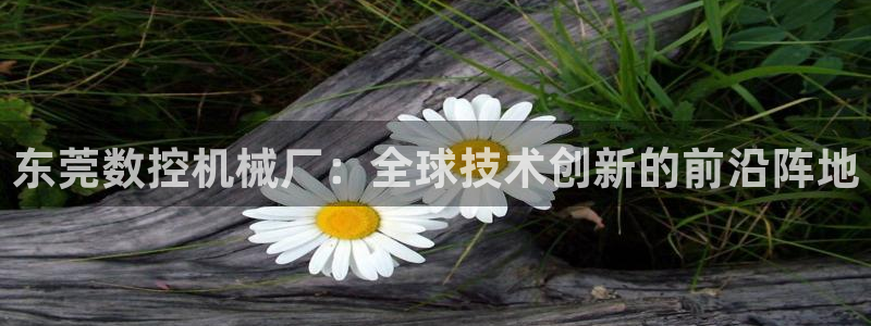 天辰团队贝高娱乐