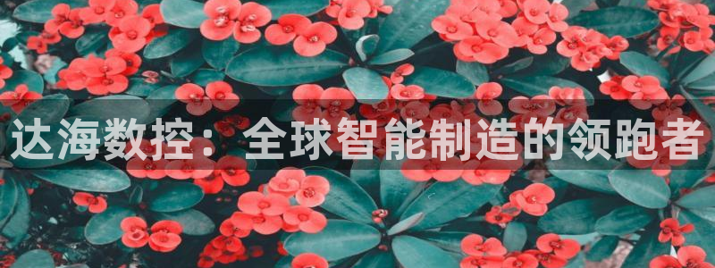 天辰娱乐股东