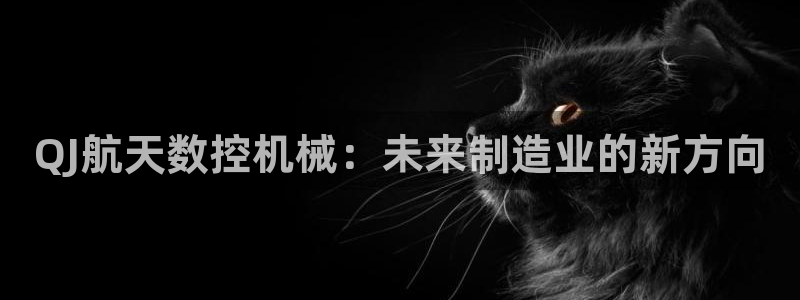 天辰娱乐简介