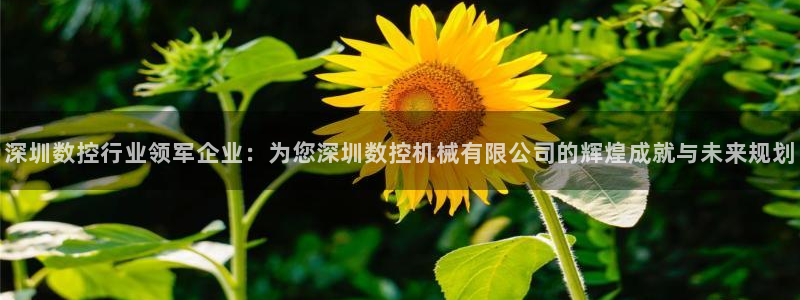 天辰天富娱乐登录