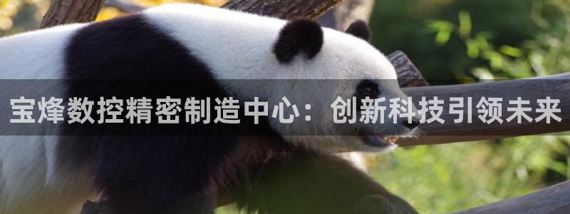 天辰娱乐代理