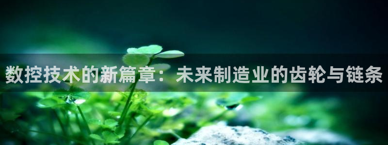 天辰娱乐棋牌