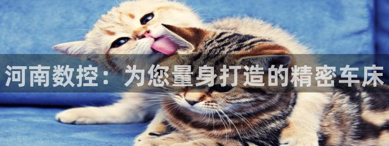 天辰娱乐tff