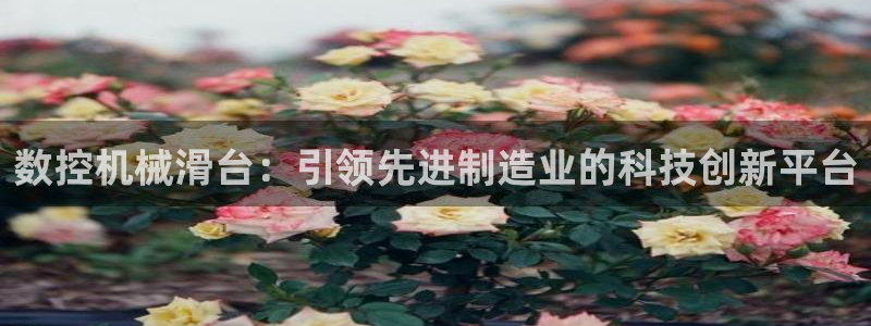 天辰娱乐主管
