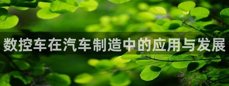天辰娱乐平台地址在哪里