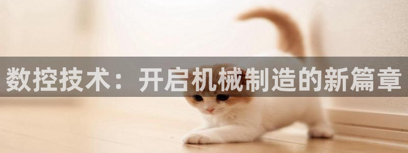 天辰娱乐下载