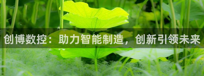 天辰娱乐app