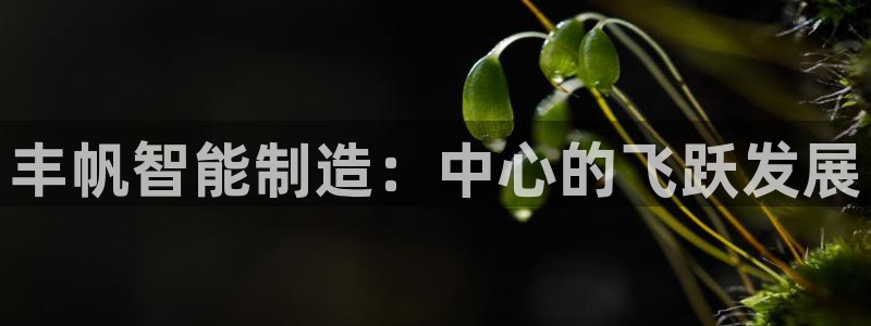 天辰娱乐 主管