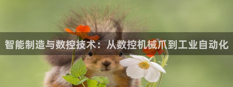 天辰娱乐-q：智能制造与数控技术：从数控机械爪到工业自动化