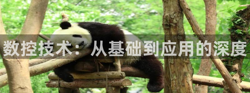 天辰娱乐 qq