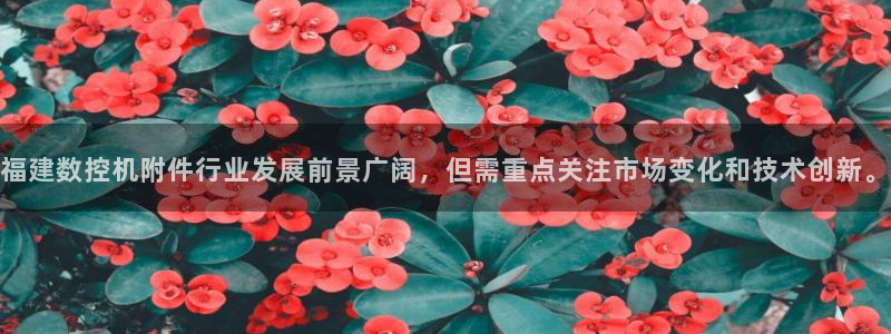 天辰说娱乐
