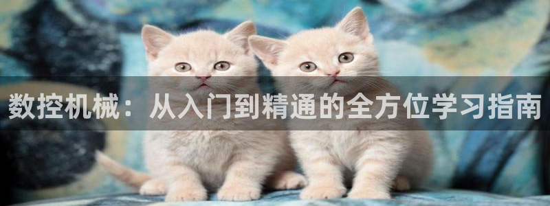 天辰天辰娱乐：数控机械：从入门到精通的全方位学习指南