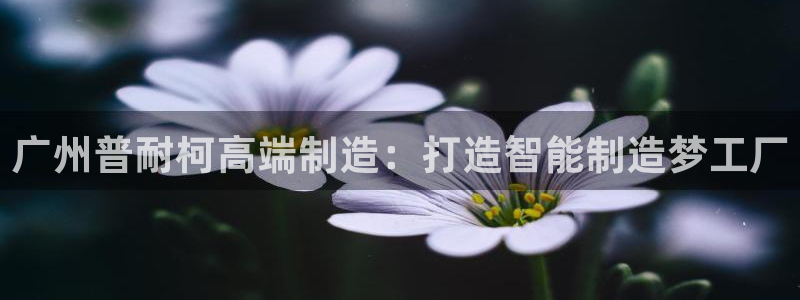 天辰娱乐885544