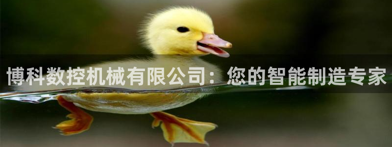 天辰娱乐在线登录注册：博科数控机械有限公司：您的智能制造专家