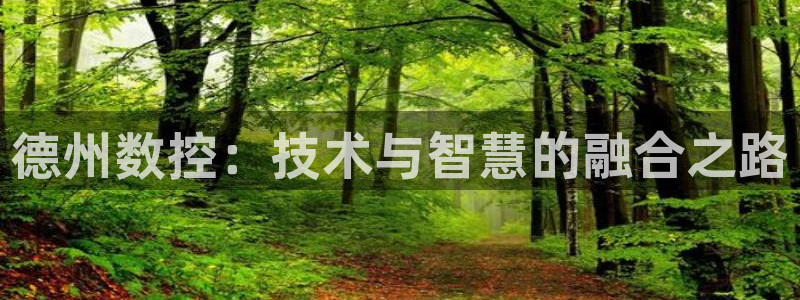 天辰娱乐输了：德州数控：技术与智慧的融合之路