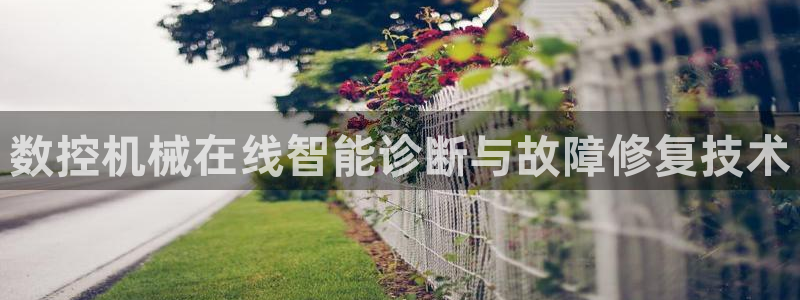 天辰娱乐481928