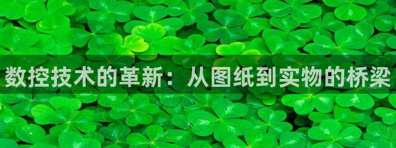 天辰宝娱乐