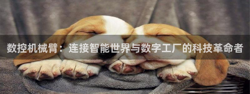 天辰娱乐上级