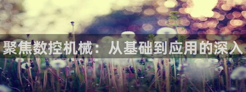 娱乐ktv天辰