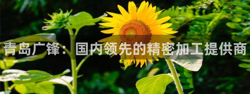 天辰娱乐挂机
