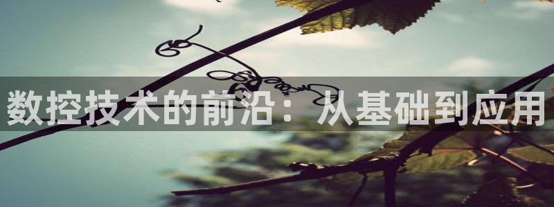 天辰娱乐天辰宝